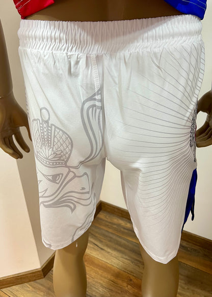 UFC MMA Team •RUSSIA• Set (T-Shirt+Shorts) Weiß