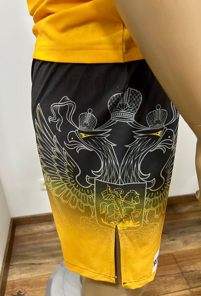 "GREEN HILL"UFC MMA Team •RUSSIA• Set (T-Shirt+Shorts) Schwarz/Gold